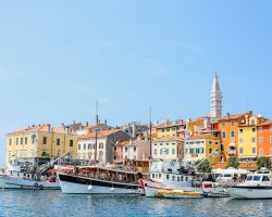 pexels-rachel-claire-6125657